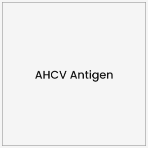 AHCV Antigen