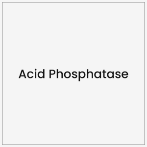 Acid Phosphatase