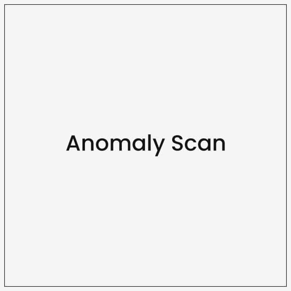 Anomaly Scan
