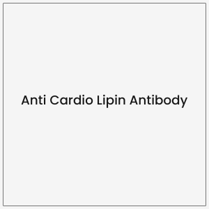 Anti Cardio Lipin Antibody