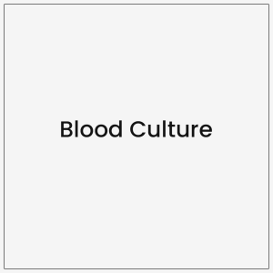 Blood Culture