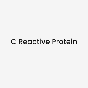 C Reactive Protein