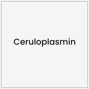 Ceruloplasmin