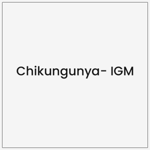 Chikungunya- IGM