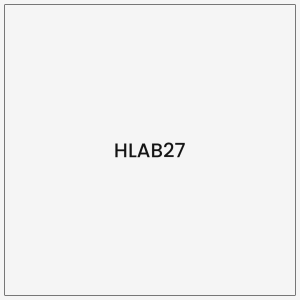 HLAB27