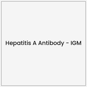 Hepatitis A Antibody – IGM