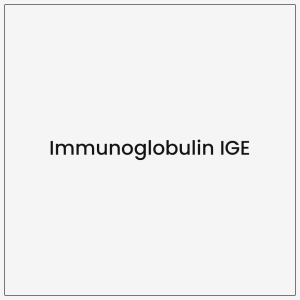 Immunoglobulin IGE