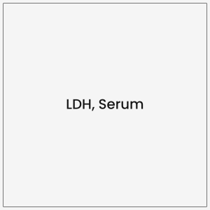 LDH Serum