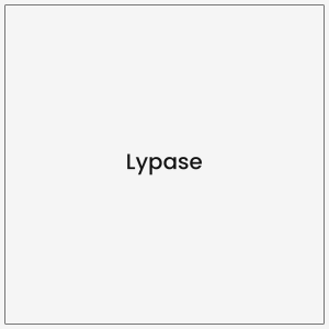 Lypase