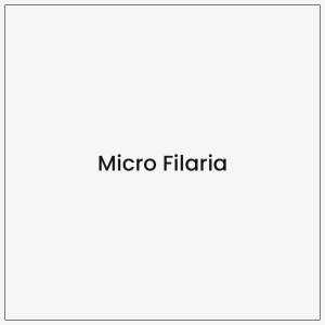 Micro Filaria