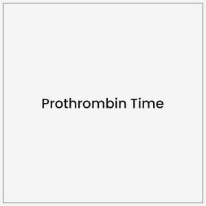 Prothrombin Time