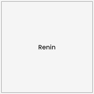 Renin