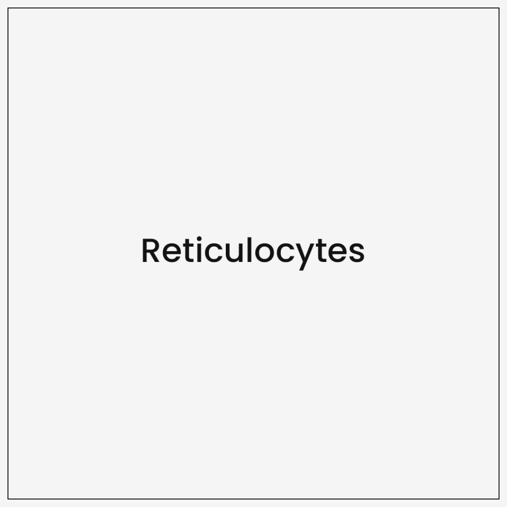 Reticulocytes Gooddays Healthcare Reticulocytes gooddays healthcare