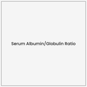 Serum Albumin/Globulin Ratio