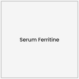 Serum Ferritine