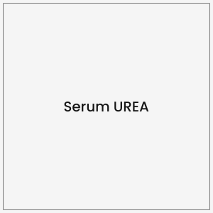 Serum UREA