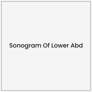 Sonogram Of Lower Abd
