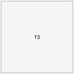 T3