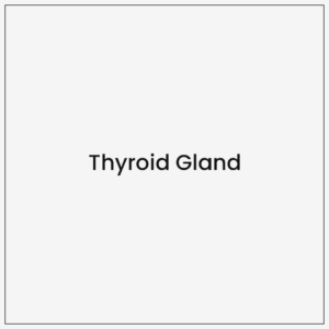 Thyroid Gland