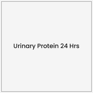Urinary Protein 24 Hrs