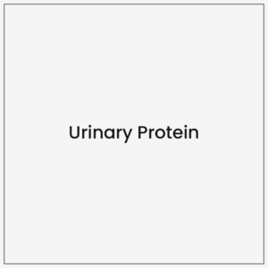 Urinary Protein