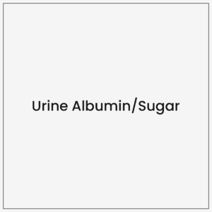 Urine Albumin Sugar