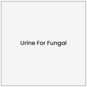 Urine For Fungal