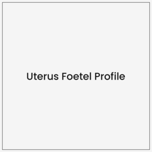 Uterus Foetel Profile