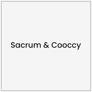 Sacrum & Cooccy