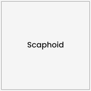 Scaphoid
