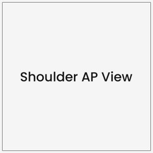 Shoulder AP View