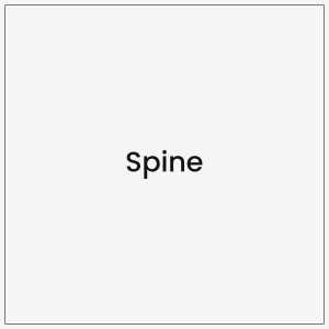 Spine