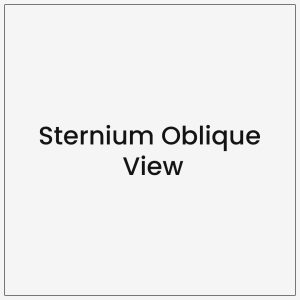 Sternium Oblique View
