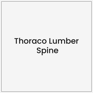 Thoraco Lumber Spine