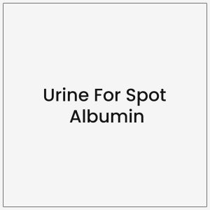 Urine For Spot Albumin
