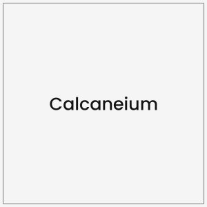 Calcaneium