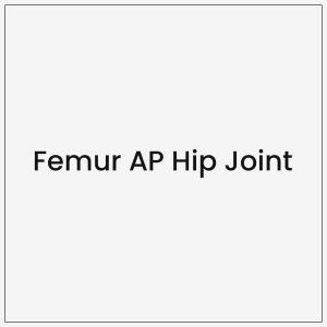 Femur AP Hip Joint