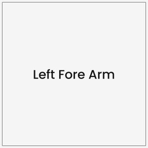 Left Fore Arm