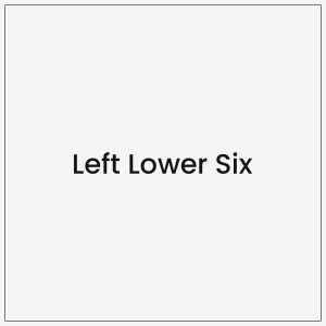 Left Lower Six
