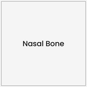 Nasal Bone