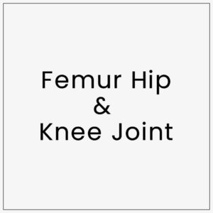 Femur Hip & Knee Joint